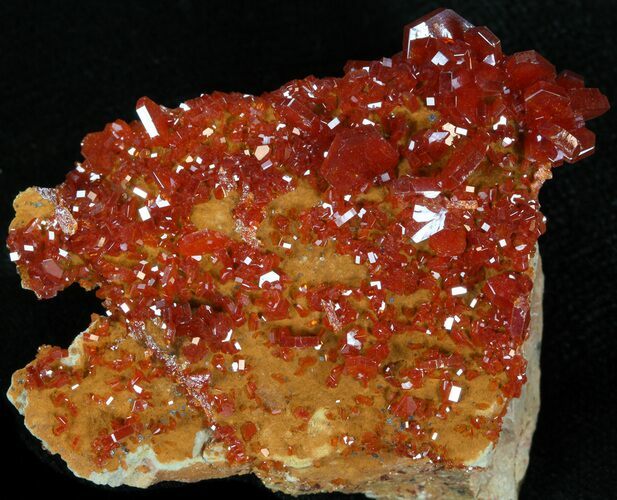 Red Vanadinite Crystal Cluster - Morocco #38525